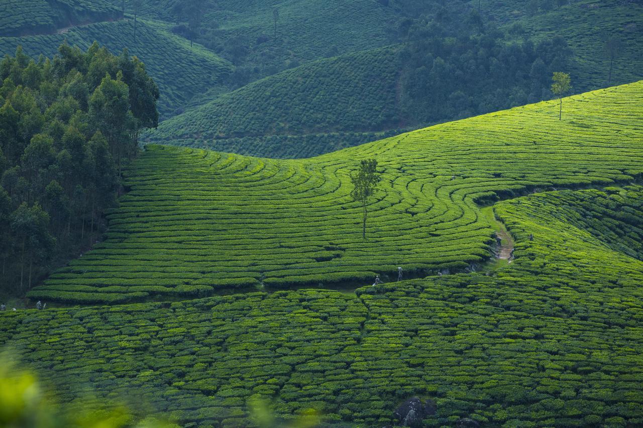 Mount View Munnar Exterior photo